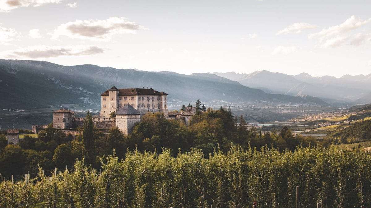 Cova Cucine Produzione KM0