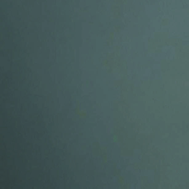 106 grigio satinato