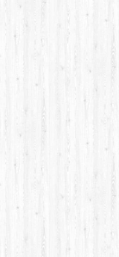 60 larice bianco