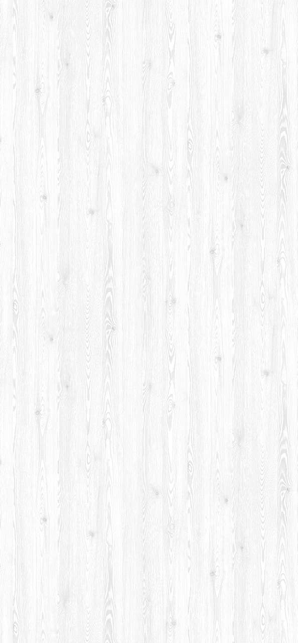 60 larice bianco