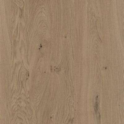 479 rovere montagna (NOD/FIA)