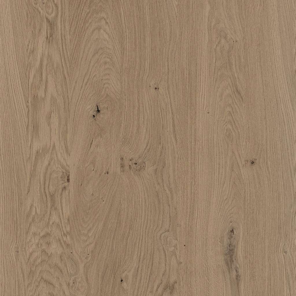 479 rovere montagna (NOD/FIA)