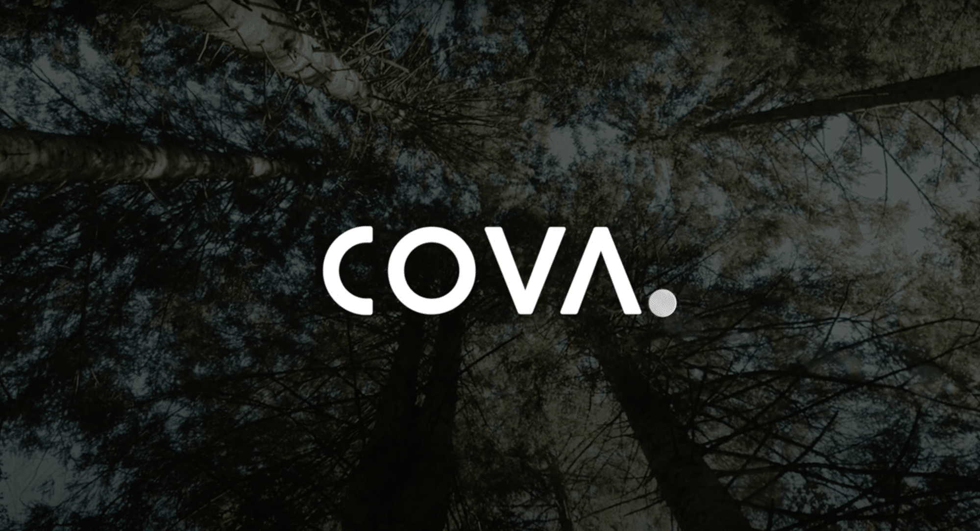 COVA 2021 BLOG