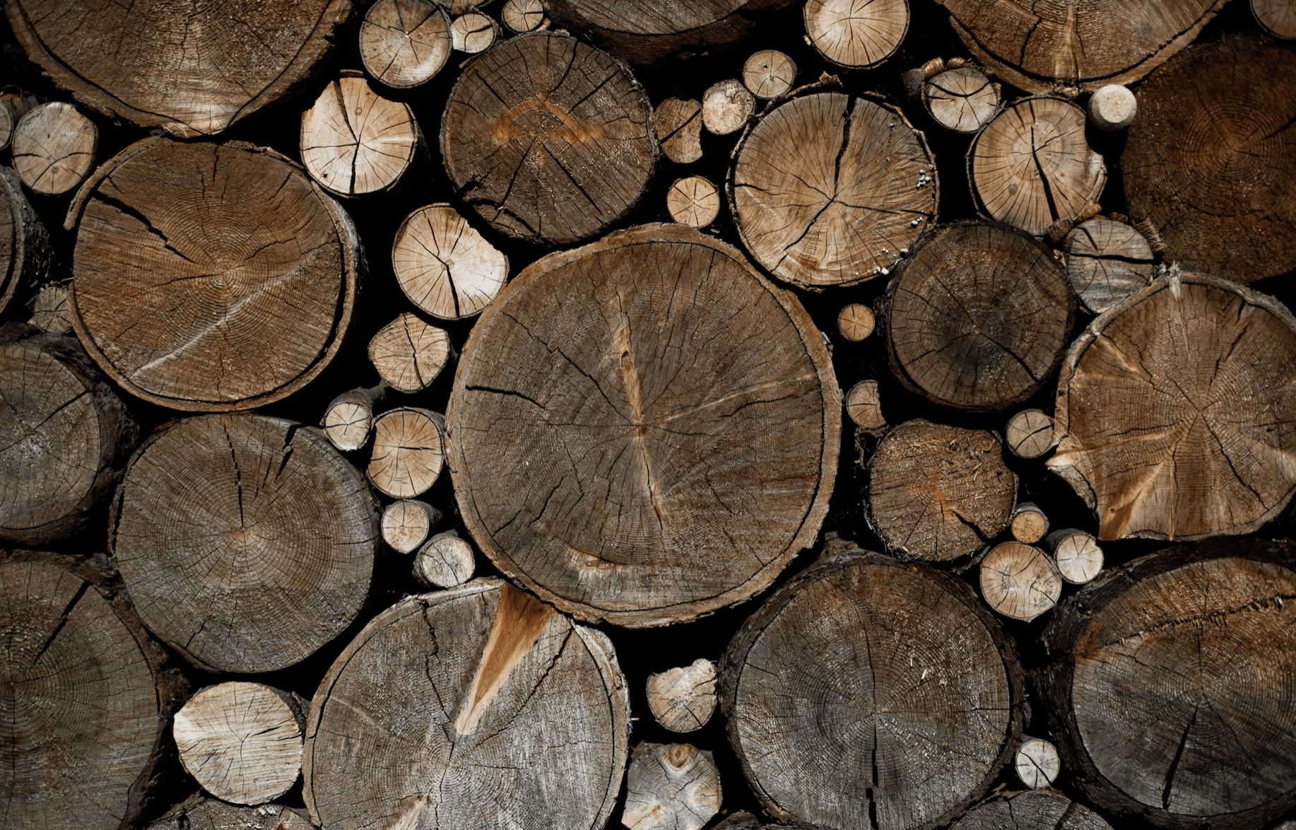 BLOG_2022-04-29 01