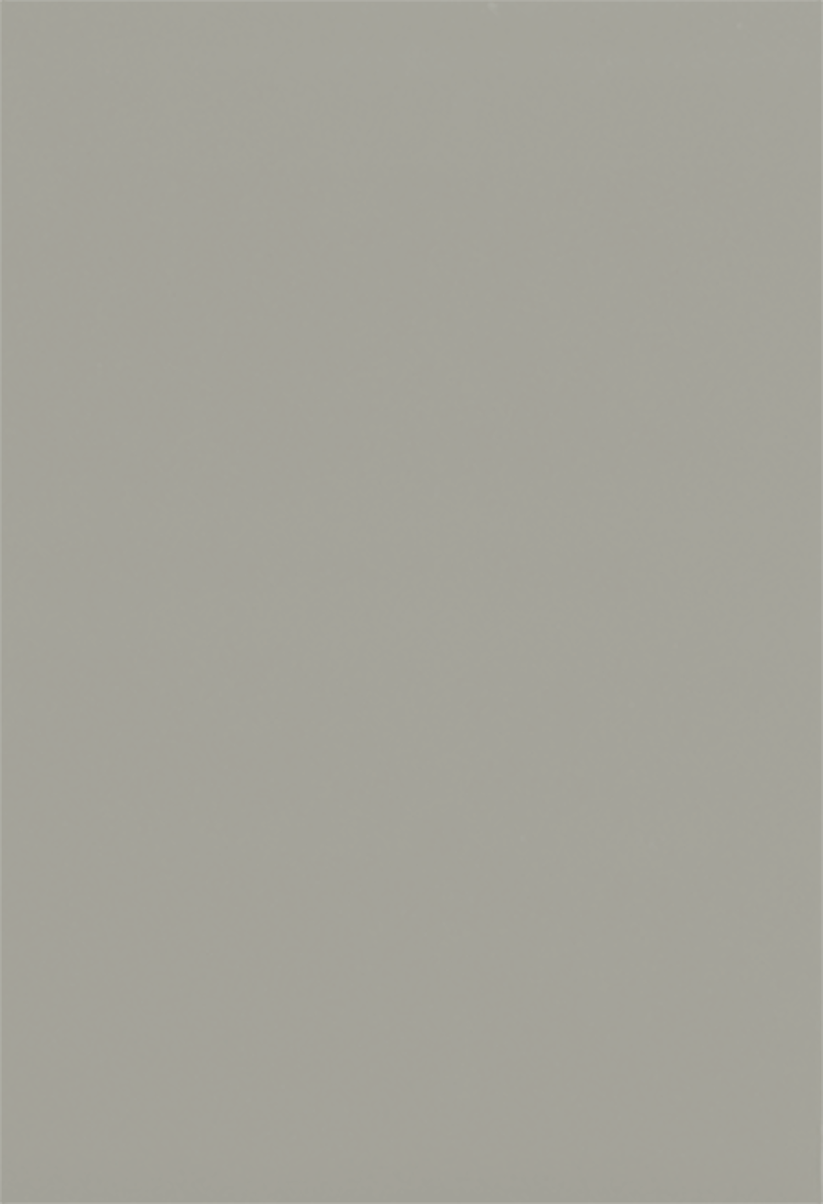 LB02 grigio piuma