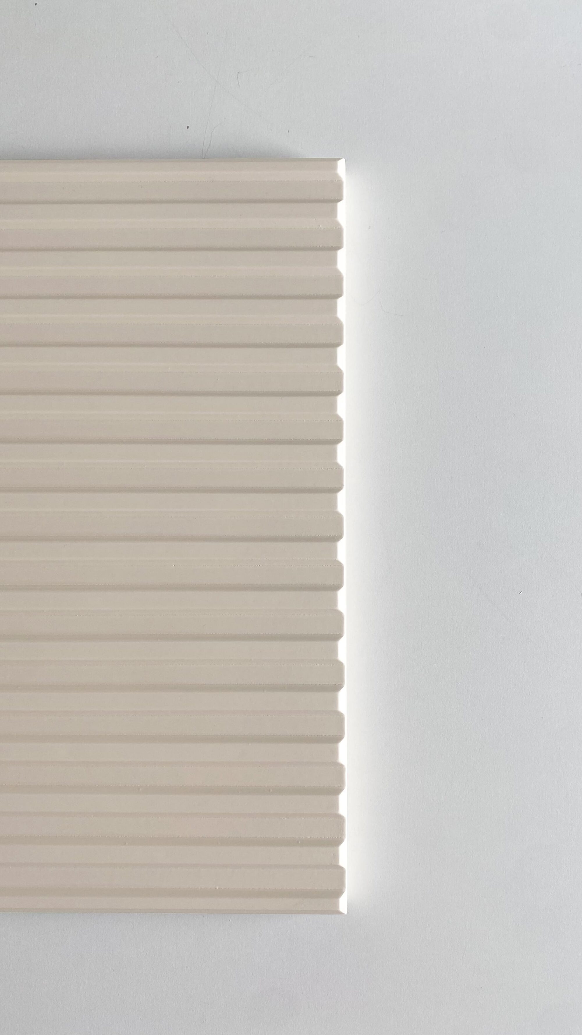 BC02 copia